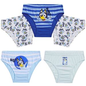 Bluey Boy's 5 Pack Briefs Size: 5-6 Years Multicolor 5-6 Years Bluey Boy's 5 Pack Briefs Size: 5-6 Years Multicolor 5-6 Years