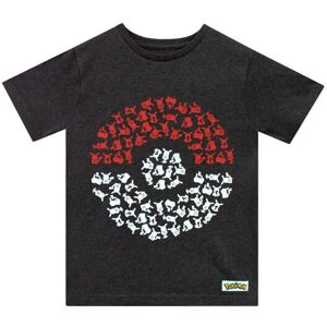 Pokemon Boy's Pokeball T-Shirt in Black Size: 10-11 Years Black 10-11 Years Pokemon Boy's Pokeball T-Shirt in Black Size: 10-11 Years Black 10-11 Years
