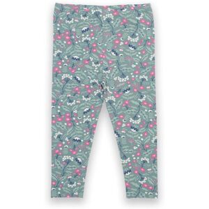 Kite Girl's Forest Belle Organic Cotton Leggings in Green Size: 3-6 m Green 3-6 m Kite Girl's Forest Belle Organic Cotton Leggings in Green Size: 3-6 m Green 3-6 m