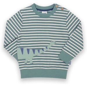 Kite Boy's Dippy Dino Sweatshirt in Green Size: 12-13 Years Green 12-13 Years Kite Boy's Dippy Dino Sweatshirt in Green Size: 12-13 Years Green 12-13 Years