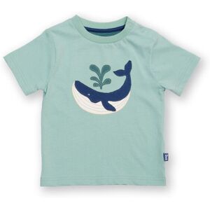 Kite Boy's Wonder Whale Organic Cotton T-Shirt in Green Size: 18-24 m Green 18-24 m Kite Boy's Wonder Whale Organic Cotton T-Shirt in Green Size: 18-24 m Green 18-24 m