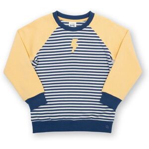 Kite Boy's Flash Sweatshirt Size: 6 Years Multicolor 6 Years Kite Boy's Flash Sweatshirt Size: 6 Years Multicolor 6 Years