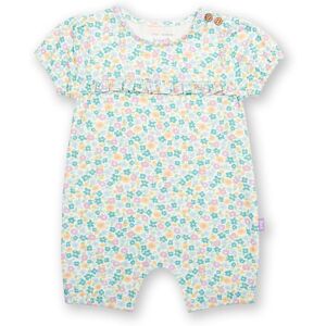 Kite Girl's Baby Meadow Ditsy Organic Cotton Romper Size: 9-12 m Multicolor 9-12 m Kite Girl's Baby Meadow Ditsy Organic Cotton Romper Size: 9-12 m Multicolor 9-12 m
