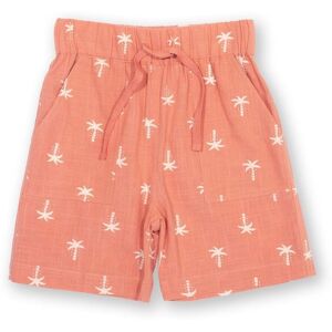 Kite Boy's Coco Palm Organic Cotton Shorts in Orange Size: 6-9 m Orange 6-9 m Kite Boy's Coco Palm Organic Cotton Shorts in Orange Size: 6-9 m Orange 6-9 m