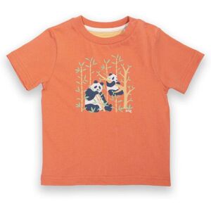 Kite Boy's Panda Pals Organic Cotton T-Shirt in Orange Size: 9-12 m Orange 9-12 m Kite Boy's Panda Pals Organic Cotton T-Shirt in Orange Size: 9-12 m Orange 9-12 m