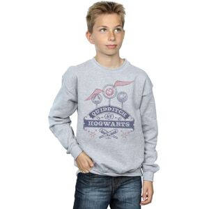 Harry Potter Boy's Quidditch At Hogwarts Sweatshirt in Grey Size: 12-13 Years Grey 12-13 Years Harry Potter Boy's Quidditch At Hogwarts Sweatshirt in Grey Size: 12-13 Years Grey 12-13 Years