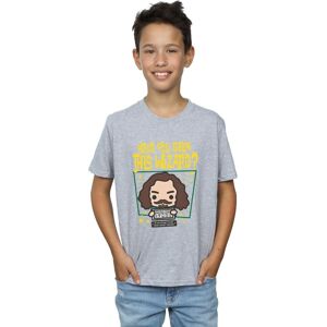 Harry Potter Boy's Sirius Black Azkaban T-Shirt in Grey Size: 7-8 Years Grey 7-8 Years Harry Potter Boy's Sirius Black Azkaban T-Shirt in Grey Size: 7-8 Years Grey 7-8 Years