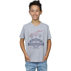 Harry Potter Boy's Quidditch At Hogwarts T-Shirt in Grey Size: 12-13 Years Grey 12-13 Years Harry Potter Boy's Quidditch At Hogwarts T-Shirt in Grey Size: 12-13 Years Grey 12-13 Years