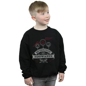 Harry Potter Boy's Quidditch At Hogwarts Sweatshirt in Black Size: 12-13 Years Black 12-13 Years Harry Potter Boy's Quidditch At Hogwarts Sweatshirt in Black Size: 12-13 Years Black 12-13 Years