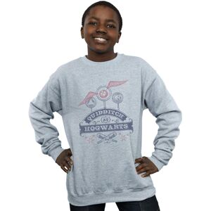 Harry Potter Gray Sweatshirt - Quidditch Hogwarts Boys 12-13 Harry Potter Gray Sweatshirt - Quidditch Hogwarts Boys 12-13