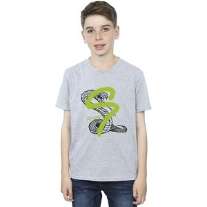 Harry Potter Boy's Slytherin Pop Spray T-Shirt in Grey Size: 12-13 Years Grey 12-13 Years Harry Potter Boy's Slytherin Pop Spray T-Shirt in Grey Size: 12-13 Years Grey 12-13 Years