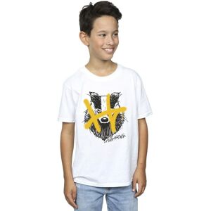 Harry Potter Boy's Hufflepuff Pop Spray T-Shirt in White Size: 3-4 Years White 3-4 Years Harry Potter Boy's Hufflepuff Pop Spray T-Shirt in White Size: 3-4 Years White 3-4 Years