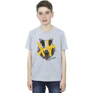 Harry Potter Boy's Hufflepuff Pop Spray T-Shirt in Grey Size: 3-4 Years Grey 3-4 Years Harry Potter Boy's Hufflepuff Pop Spray T-Shirt in Grey Size: 3-4 Years Grey 3-4 Years