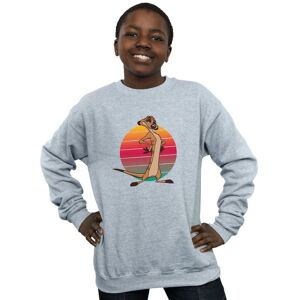 Disney Boy's The Lion King Timon Sunset Sweatshirt in Grey Size: 5-6 Years Grey 5-6 Years Disney Boy's The Lion King Timon Sunset Sweatshirt in Grey Size: 5-6 Years Grey 5-6 Years