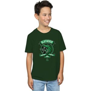 Harry Potter Boy's Slytherin Toon Crest T-Shirt in Green Size: 5-6 Years Green 5-6 Years Harry Potter Boy's Slytherin Toon Crest T-Shirt in Green Size: 5-6 Years Green 5-6 Years