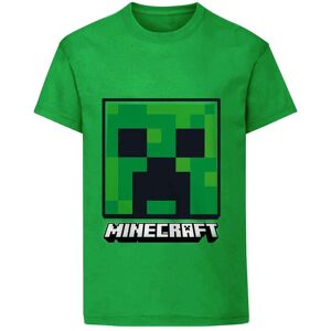 Minecraft Creeper Face T-Shirt in Green Size: 5-6 Years Green 5-6 Years Minecraft Creeper Face T-Shirt in Green Size: 5-6 Years Green 5-6 Years