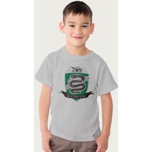 Harry Potter Slytherin Quidditch Distressed Shield T-Shirt in Mid Grey Size: 12-13 Years Mid Grey 12-13 Years Harry Potter Slytherin Quidditch Distressed Shield T-Shirt in Mid Grey Size: 12-13 Years Mid Grey 12-13 Years