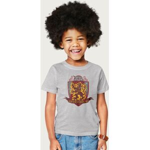 Harry Potter Gryffindor Quidditch Distressed Shield T-Shirt in Mid Grey Size: 3-4 Years Mid Grey 3-4 Years Harry Potter Gryffindor Quidditch Distressed Shield T-Shirt in Mid Grey Size: 3-4 Years Mid Grey 3-4 Years