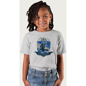 Harry Potter Ravenclaw Quidditch Distressed Shield T-Shirt in Mid Grey Size: 7-8 Years Mid Grey 7-8 Years Harry Potter Ravenclaw Quidditch Distressed Shield T-Shirt in Mid Grey Size: 7-8 Years Mid Grey 7-8 Years