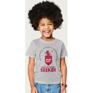 Harry Potter Gryfffindor Quidditch Seeker T-Shirt in Mid Grey Size: 3-4 Years Mid Grey 3-4 Years Harry Potter Gryfffindor Quidditch Seeker T-Shirt in Mid Grey Size: 3-4 Years Mid Grey 3-4 Years