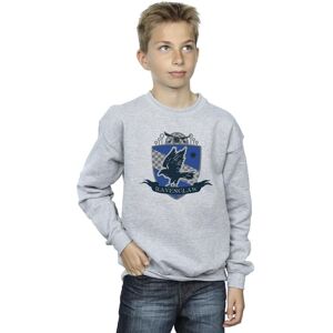 Harry Potter Boy's Ravenclaw Chest Badge Sweatshirt in Grey Size: 5-6 Years Grey 5-6 Years Harry Potter Boy's Ravenclaw Chest Badge Sweatshirt in Grey Size: 5-6 Years Grey 5-6 Years