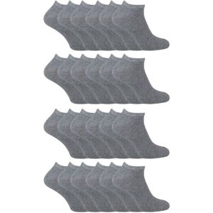 Sock Snob Boy's 24 Pack Multipack Cotton Trainer Socks in Grey Size: 4-6 Years Grey 4-6 Years Sock Snob Boy's 24 Pack Multipack Cotton Trainer Socks in Grey Size: 4-6 Years Grey 4-6 Years