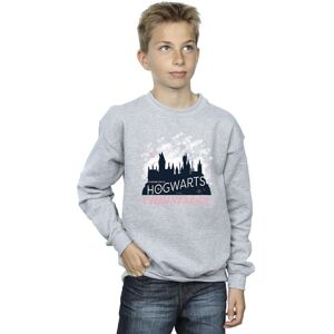 Harry Potter Boy's Hogwarts Christmas Sweatshirt in Grey Size: 3-4 Years Grey 3-4 Years Harry Potter Boy's Hogwarts Christmas Sweatshirt in Grey Size: 3-4 Years Grey 3-4 Years