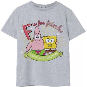 SpongeBob SquarePants Girl's Kids Short Sleeved T-Shirt (Girls Grey Marl) Size: 5-6 Years Grey 5-6 Years SpongeBob SquarePants Girl's Kids Short Sleeved T-Shirt (Girls Grey Marl) Size: 5-6 Years Grey 5-6 Years