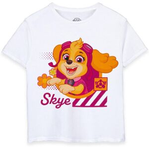 Paw Patrol Girl's Kids Short Sleeved T-Shirt (Girls White) in White Size: 5-6 Years White 5-6 Years Paw Patrol Girl's Kids Short Sleeved T-Shirt (Girls White) in White Size: 5-6 Years White 5-6 Years