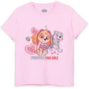 Paw Patrol Girl's Kids Short Sleeved T-Shirt (Girls Pink) in Pink Size: 3-4 Years Pink 3-4 Years Paw Patrol Girl's Kids Short Sleeved T-Shirt (Girls Pink) in Pink Size: 3-4 Years Pink 3-4 Years