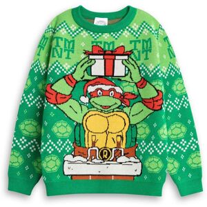 Teenage Mutant Ninja Turtles Christmas Jumper Unisex Kids Green Size: 9-10 Years Green 9-10 Years Teenage Mutant Ninja Turtles Christmas Jumper Unisex Kids Green Size: 9-10 Years Green 9-10 Years