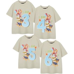 Paw Patrol Boy's Kids Short Sleeved T-Shirt (Boys Beige) in Beige Size: 7-8 Years Beige 7-8 Years Paw Patrol Boy's Kids Short Sleeved T-Shirt (Boys Beige) in Beige Size: 7-8 Years Beige 7-8 Years