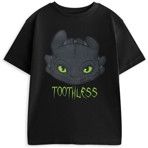 How To Train Your Dragon Boy's Kids Short Sleeved T-Shirt (Boys Black) in Black Size: 13-14 Years Black 13-14 Years How To Train Your Dragon Boy's Kids Short Sleeved T-Shirt (Boys Black) in Black Size: 13-14 Years Black 13-14 Years