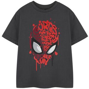 Marvel Boy's Short Sleeved T-Shirt (Kids Charcoal) in Grey Size: 7-8 Years Grey 7-8 Years Marvel Boy's Short Sleeved T-Shirt (Kids Charcoal) in Grey Size: 7-8 Years Grey 7-8 Years