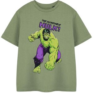 Marvel Boy's Short Sleeved T-Shirt (Kids Khaki) in Green Size: 9-10 Years Green 9-10 Years Marvel Boy's Short Sleeved T-Shirt (Kids Khaki) in Green Size: 9-10 Years Green 9-10 Years