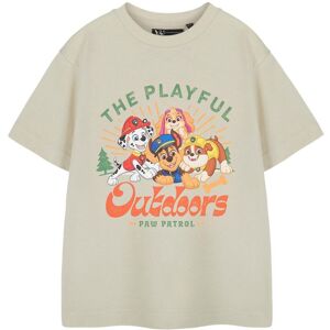 Paw Patrol Boy's Kids Short Sleeved T-Shirt (Boys Oatmeal) in Beige Size: 5-6 Years Beige 5-6 Years Paw Patrol Boy's Kids Short Sleeved T-Shirt (Boys Oatmeal) in Beige Size: 5-6 Years Beige 5-6 Years