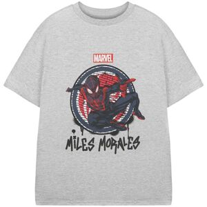 Marvel Boy's Short Sleeved T-Shirt (Kids Grey Marl) Size: 9-10 Years Grey 9-10 Years Marvel Boy's Short Sleeved T-Shirt (Kids Grey Marl) Size: 9-10 Years Grey 9-10 Years
