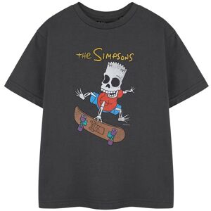 The Simpsons Boy's Short Sleeved T-Shirt (Kids Charcoal) in Grey Size: 9-10 Years Grey 9-10 Years The Simpsons Boy's Short Sleeved T-Shirt (Kids Charcoal) in Grey Size: 9-10 Years Grey 9-10 Years