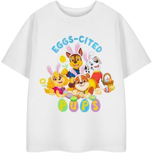 Paw Patrol Kids Short Sleeved T-Shirt (Unisex Kids White) in White Size: 3-4 Years White 3-4 Years Paw Patrol Kids Short Sleeved T-Shirt (Unisex Kids White) in White Size: 3-4 Years White 3-4 Years