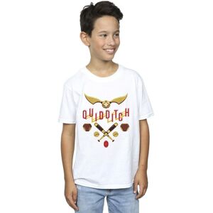 Harry Potter Boy's Quidditch Golden Snitch T-Shirt in White Size: 3-4 Years White 3-4 Years Harry Potter Boy's Quidditch Golden Snitch T-Shirt in White Size: 3-4 Years White 3-4 Years