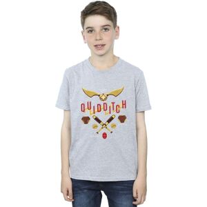 Harry Potter Boy's Quidditch Golden Snitch T-Shirt in Grey Size: 12-13 Years Grey 12-13 Years Harry Potter Boy's Quidditch Golden Snitch T-Shirt in Grey Size: 12-13 Years Grey 12-13 Years