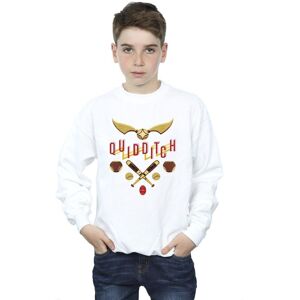 Harry Potter Boy's Quidditch Golden Snitch Sweatshirt in White Size: 5-6 Years White 5-6 Years Harry Potter Boy's Quidditch Golden Snitch Sweatshirt in White Size: 5-6 Years White 5-6 Years