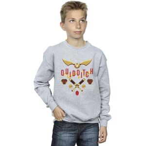 Harry Potter Boy's Quidditch Golden Snitch Sweatshirt in Grey Size: 12-13 Years Grey 12-13 Years Harry Potter Boy's Quidditch Golden Snitch Sweatshirt in Grey Size: 12-13 Years Grey 12-13 Years