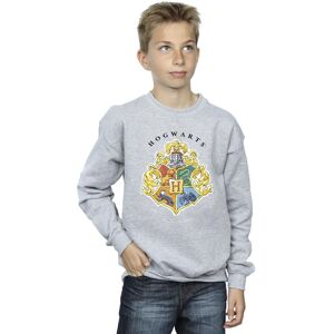Harry Potter Boy's Hogwarts School Emblem Sweatshirt in Grey Size: 3-4 Years Grey 3-4 Years Harry Potter Boy's Hogwarts School Emblem Sweatshirt in Grey Size: 3-4 Years Grey 3-4 Years