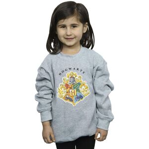 Harry Potter Girl's Hogwarts School Emblem Sweatshirt in Grey Size: 12-13 Years Grey 12-13 Years Harry Potter Girl's Hogwarts School Emblem Sweatshirt in Grey Size: 12-13 Years Grey 12-13 Years