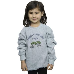 Disney Girl's Chip ´n Dale Green Vibes Only Sweatshirt in Grey Size: 3-4 Years Grey 3-4 Years Disney Girl's Chip ´n Dale Green Vibes Only Sweatshirt in Grey Size: 3-4 Years Grey 3-4 Years