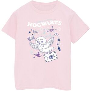 Harry Potter Girl's Owl Letter From Hogwarts Cotton T-Shirt in Baby Pink Size: 7-8 Years Baby Pink 7-8 Years Harry Potter Girl's Owl Letter From Hogwarts Cotton T-Shirt in Baby Pink Size: 7-8 Years Baby Pink 7-8 Years