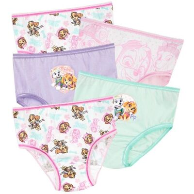 Paw Patrol Girl's Skye Underwear 5 Pack in White Size: 2-3 Years White 2-3 Years Paw Patrol Girl's Skye Underwear 5 Pack in White Size: 2-3 Years White 2-3 Years