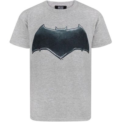 DC Comics Boy's Short Sleeved T-Shirt Boys Grey Official Merch Size: 7-8 Years Multicolor 7-8 Years DC Comics Boy's Short Sleeved T-Shirt Boys Grey Official Merch Size: 7-8 Years Multicolor 7-8 Years