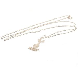 Tottenham Hotspur FC Men's Crest Necklace & Pendant in Silver Silver One Size Tottenham Hotspur FC Men's Crest Necklace & Pendant in Silver Silver One Size